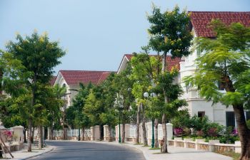 Nice and reasonable price villa in Hoa Sua 4, Vinhomes Riverside